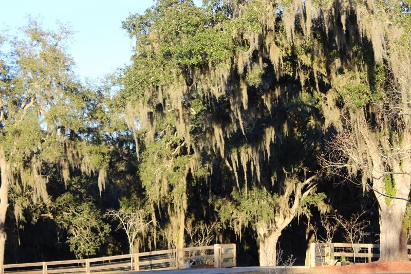 Bed and Breakfast Rock Pointe Ranch Floral City Esterno foto
