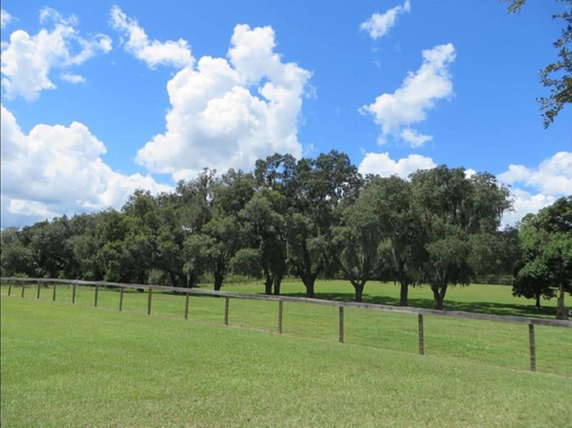 Bed and Breakfast Rock Pointe Ranch Floral City Esterno foto